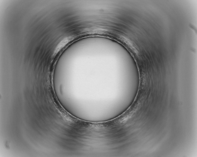 X0000095900978200802011124