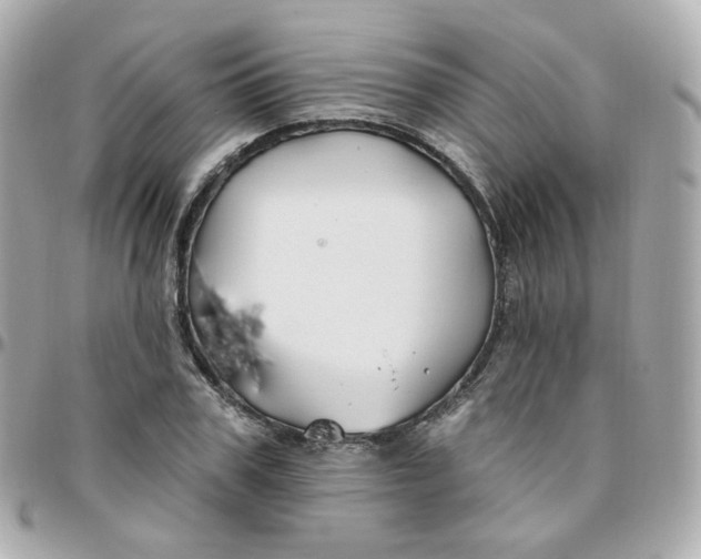 X0000095900979200802011124