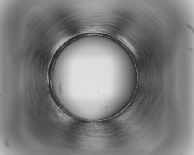 X0000095900980200802011124