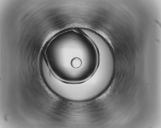 X0000095900981200802011124