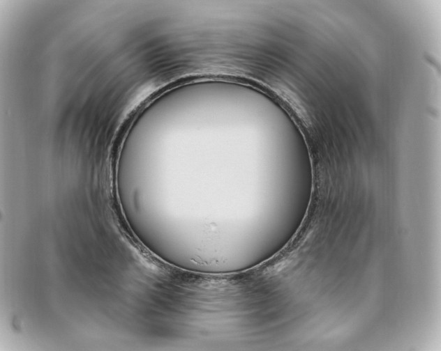 X0000095900982200802011124