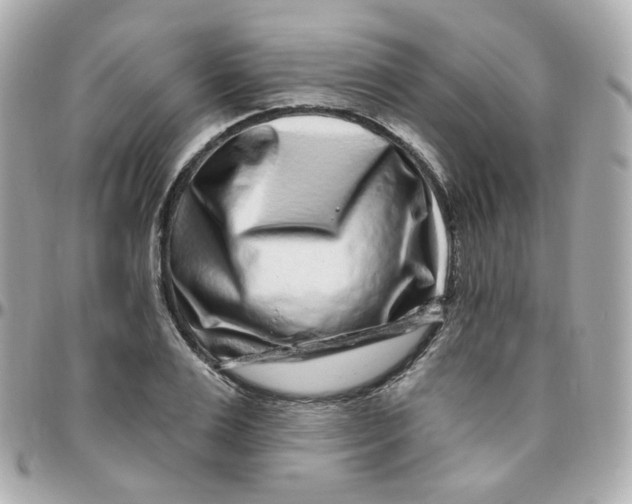 X0000095900983200802011124