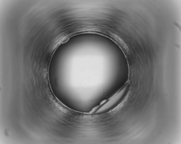 X0000095900985200802011124