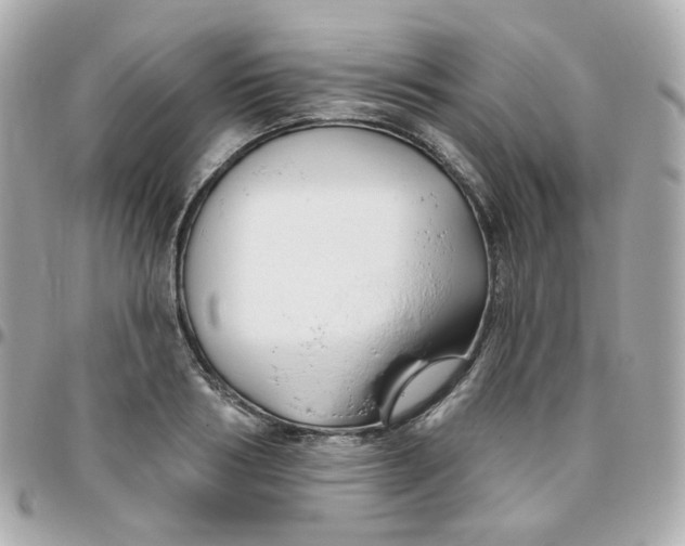 X0000095900986200802011124