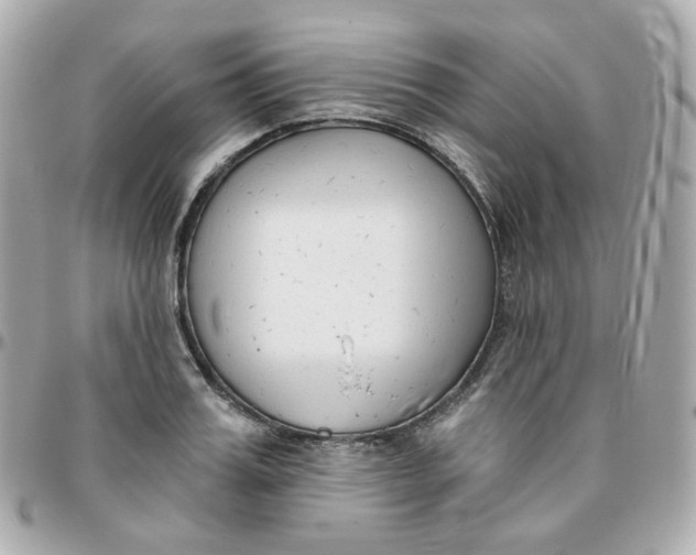 X0000095900987200802011124