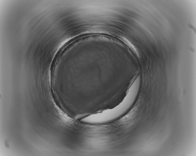 X0000095900988200802011124