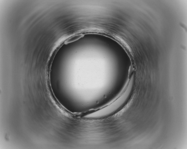 X0000095900989200802011124