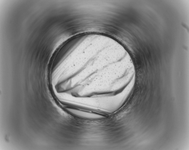 X0000095900991200802011124