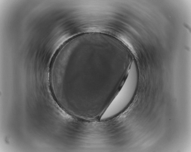 X0000095900992200802011124