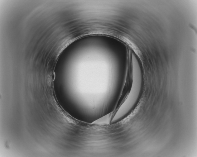 X0000095900993200802011124