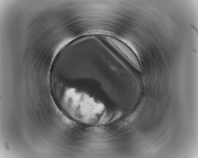 X0000095900995200802011124