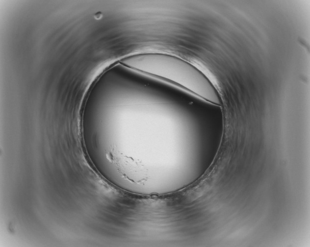 X0000095900996200802011124