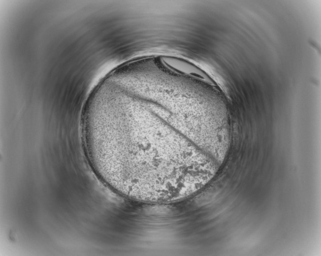 X0000095900998200802011124