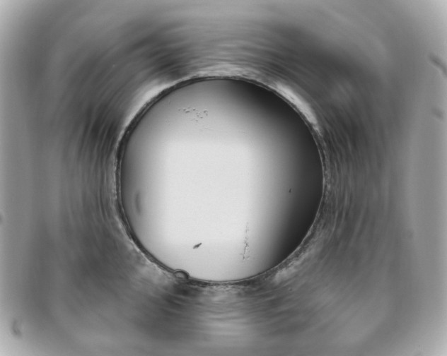 X0000095901000200802011124