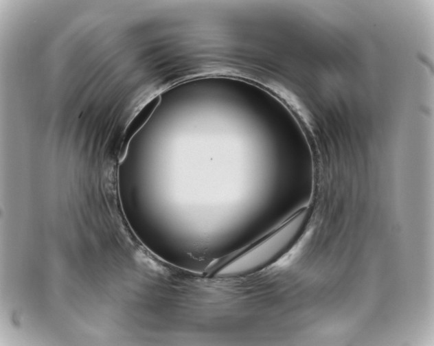 X0000095901001200802011124