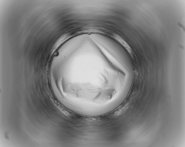 X0000095901002200802011124