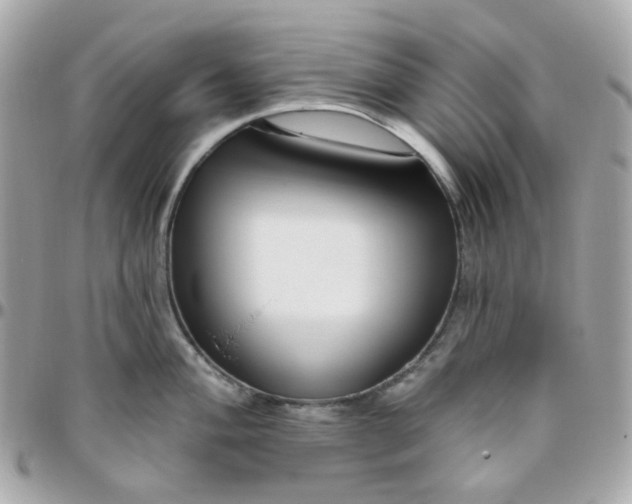 X0000095901004200802011124