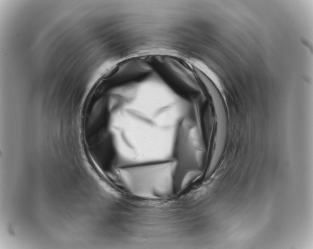 X0000095901005200802011124