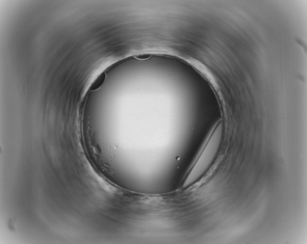 X0000095901006200802011124