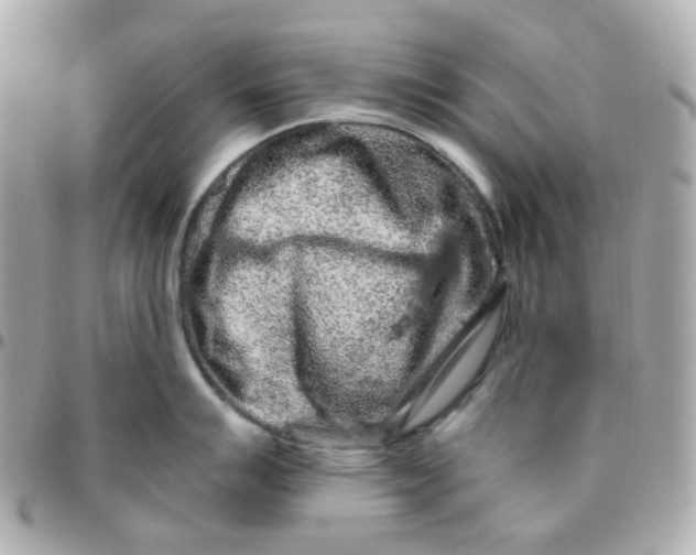 X0000095901007200802011124