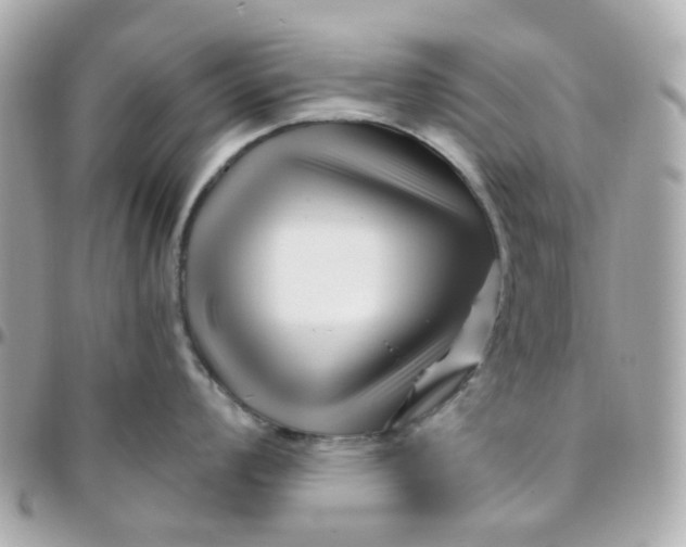 X0000095901008200802011124