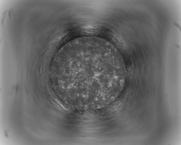 X0000095901009200802011123