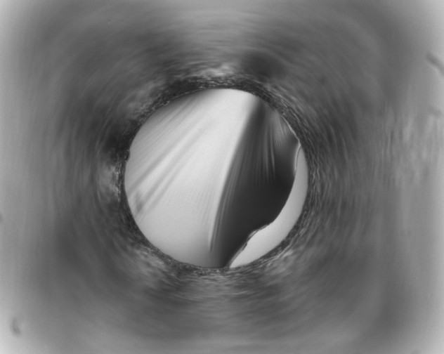 X0000095901010200802011123