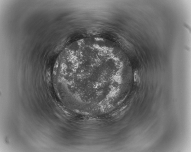 X0000095901011200802011123