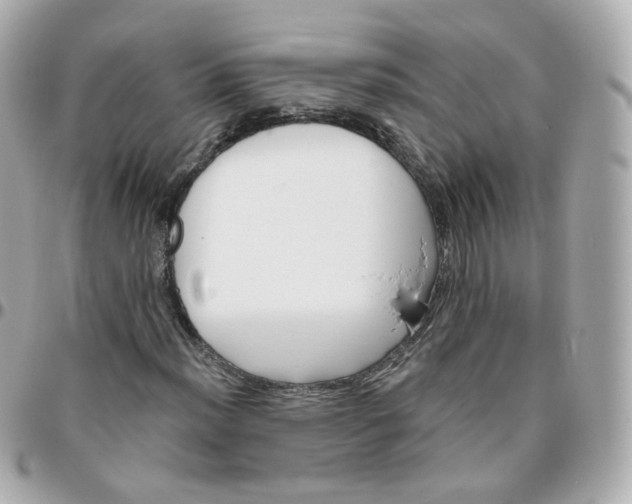 X0000095901012200802011123