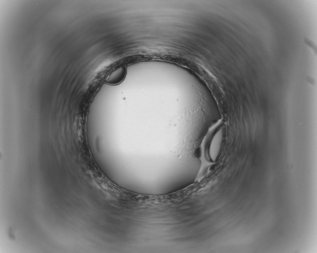 X0000095901016200802011123