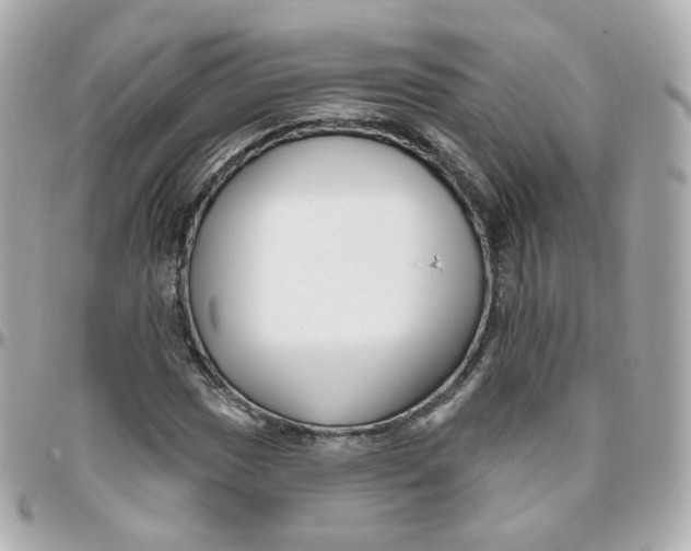 X0000095901017200802011123