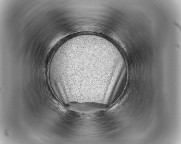 X0000095901019200802011123