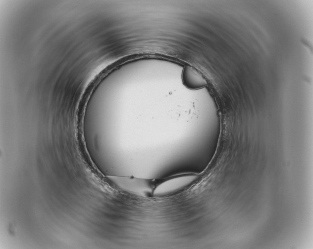 X0000095901020200802011123