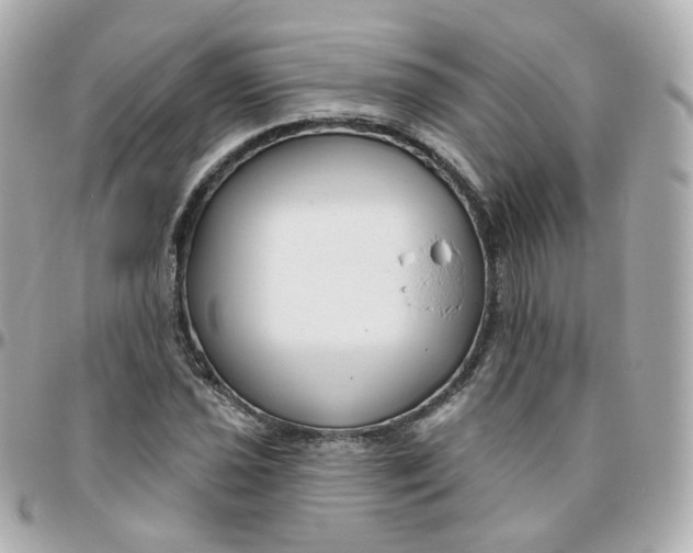 X0000095901021200802011123