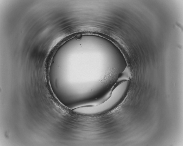 X0000095901022200802011123