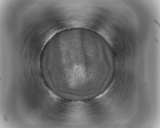 X0000095901023200802011123