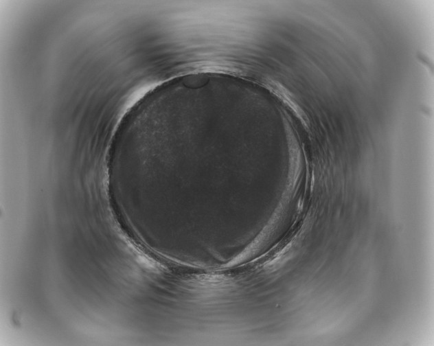 X0000095901024200802011123