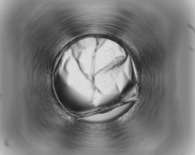 X0000095901025200802011123