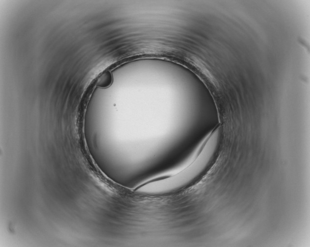 X0000095901026200802011123