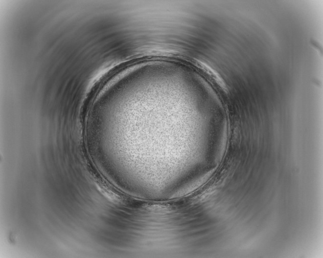 X0000095901027200802011123