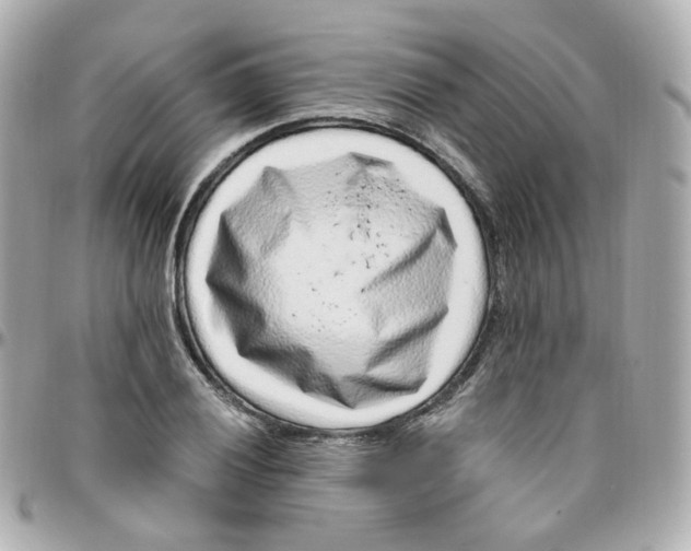 X0000095901028200802011123