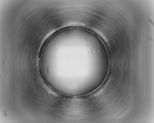 X0000095901029200802011124