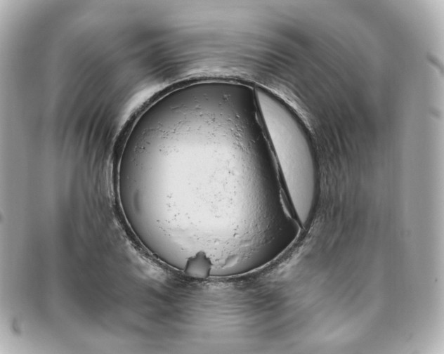 X0000095901030200802011124