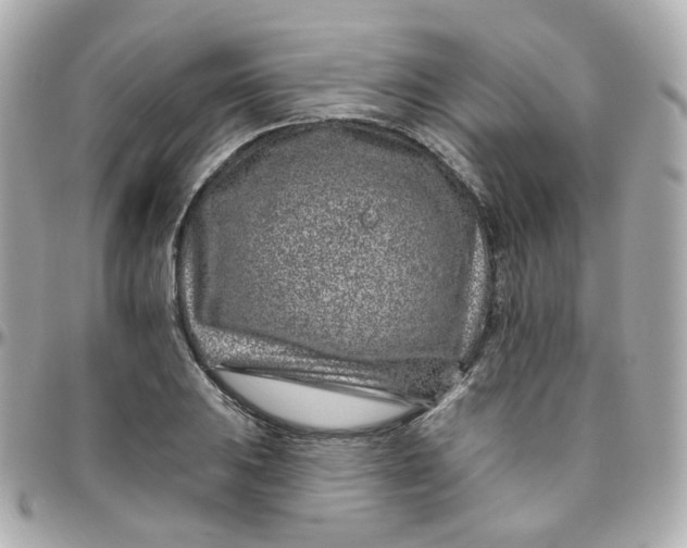 X0000095901031200802011124