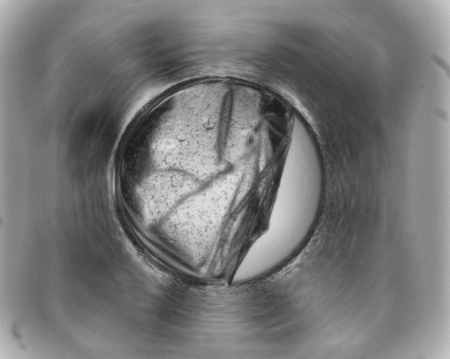 X0000095901032200802011124