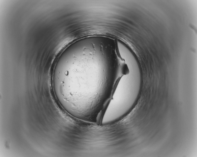 X0000095901034200802011124