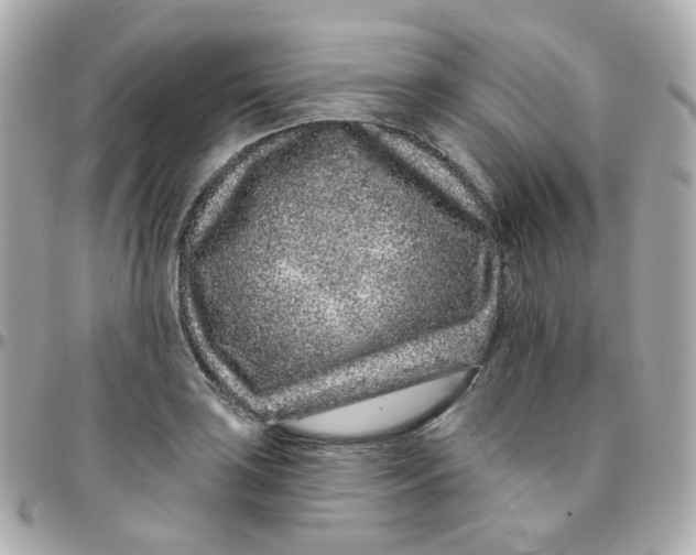 X0000095901035200802011124