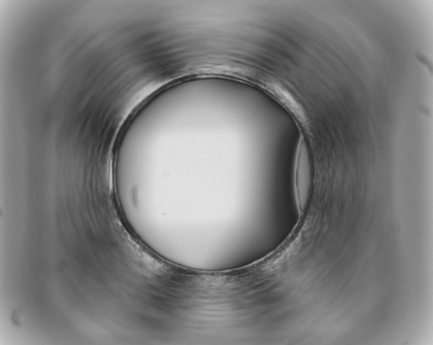 X0000095901036200802011124