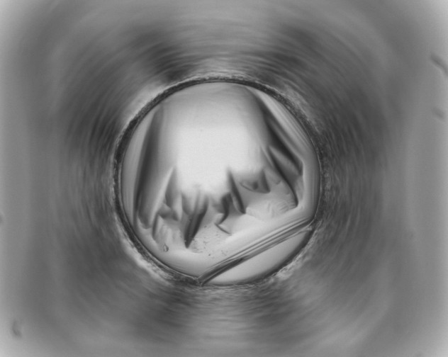 X0000095901038200802011124