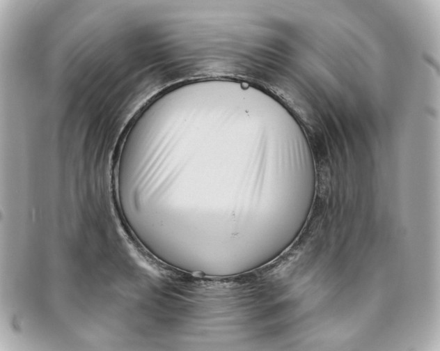 X0000095901039200802011124